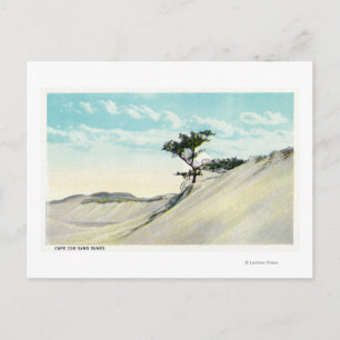 Cartão Postal Vista do Navio a vapor Dorothy Bradford