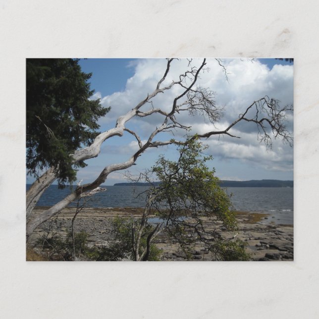 Cartão Postal Vista do Oceano (Frente)