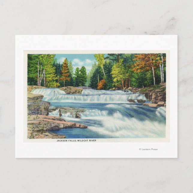 Cartão Postal Vista do rio Gato Selvagem e das cataratas de Jack (Frente)