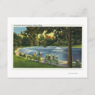 Cartão Postal Vista do Sapo Comum de Boston