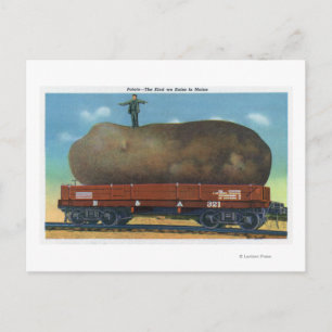Cartão Postal Vista do tipo de batatas criadas no Maine