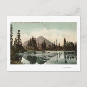 Cartão Postal Vista dos botões pretos ao longo da rota Shasta