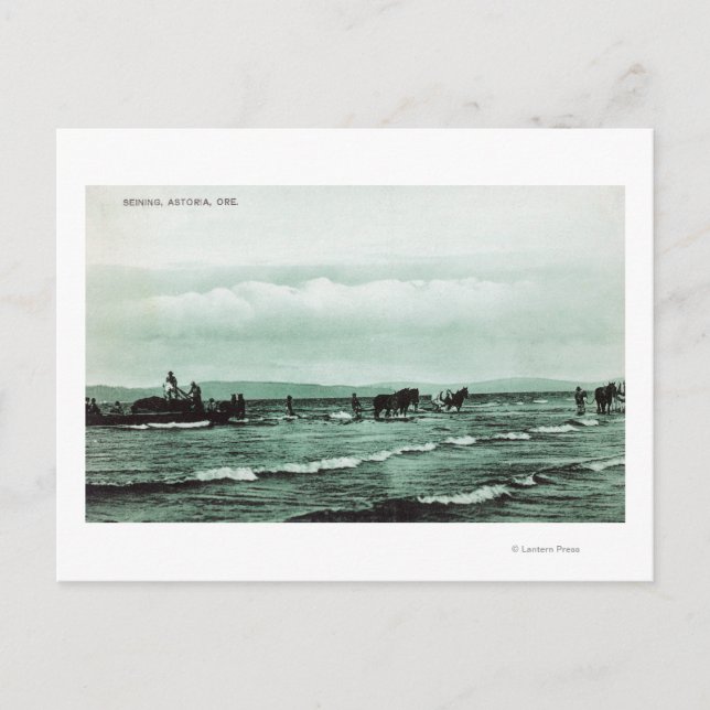 Cartão Postal Vista dos pescadores que pescam cerco, carruagens  (Frente)