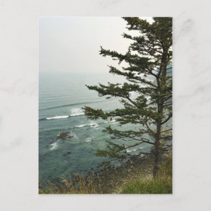 Cartão Postal Vista em Simpson Reef Overlook, Costa do Oregon