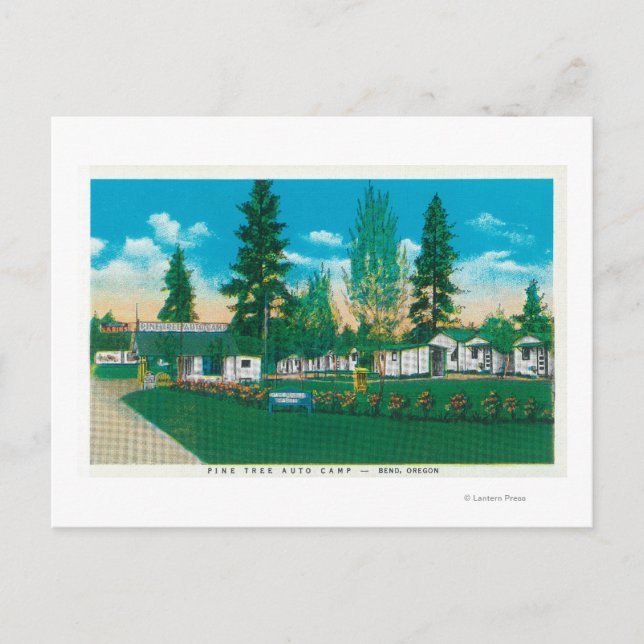 Cartão Postal Vista Exterior do Campo Automático da Árvore do Pi (Frente)