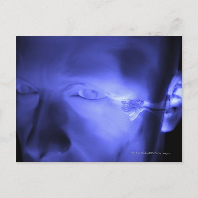 Cartão Postal Vista frontal do ouvido interno (Frente)