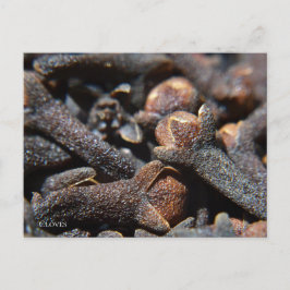 Cartão Postal Vista Macro Detalhada da Erva de Cravo