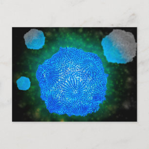 Cartão Postal Vista Microscópica Do Parvovírus Canino 3