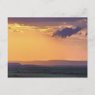 Cartão Postal Vista panorâmica de uma única árvore acácia em