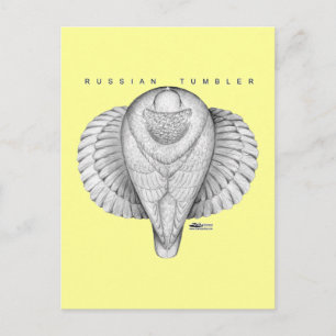 Cartão Postal Vista Superior do Tumbler Russo