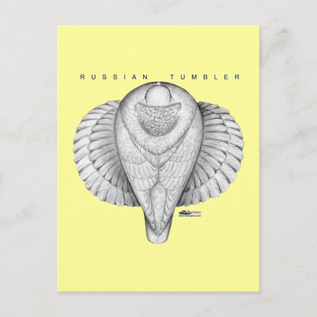 Cartão Postal Vista Superior do Tumbler Russo (Frente)