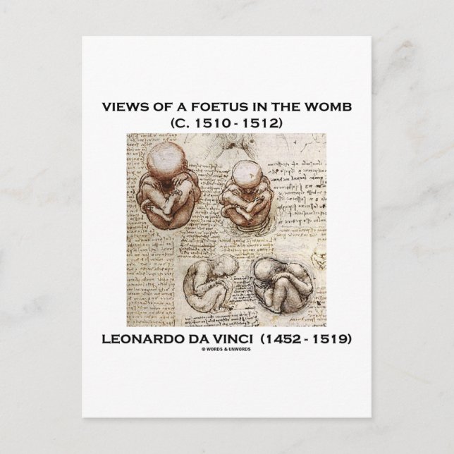 Cartão Postal Vistas de um Feto no Útero (Leonardo da Vinci) (Frente)
