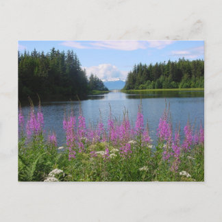 Cartão Postal Visualizações de amálgá