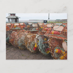 Cartão Postal Vitória, Ilha do Príncipe Eduardo. Armadilhas de c