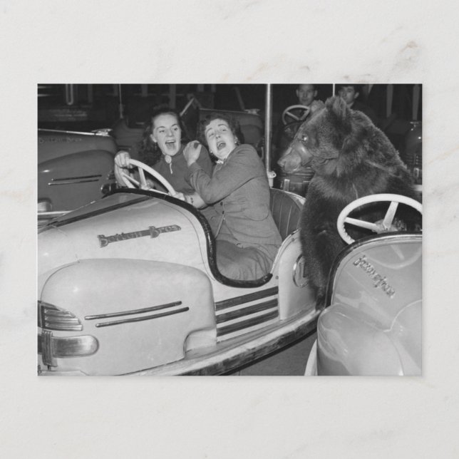 Cartão Postal Vitoriano esquisito de um urso pilotando carros Pá (Frente)