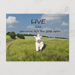 Cartão postal "Viva como se alguém tivesse deixado