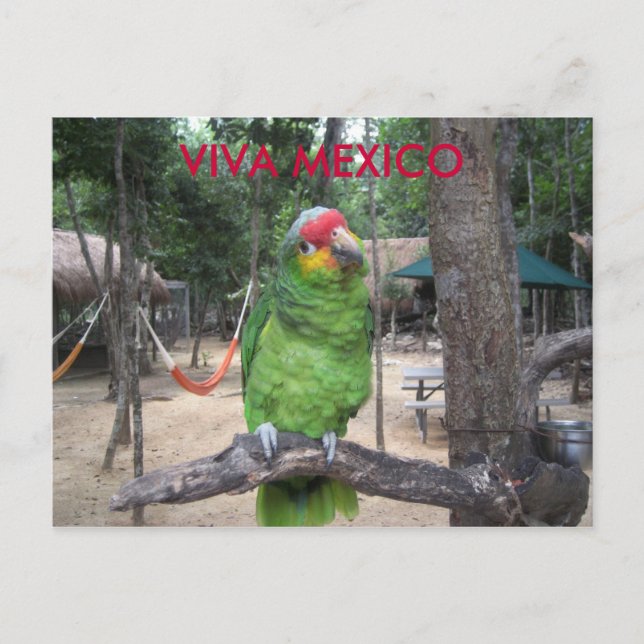 Cartão Postal Viva México (Frente)