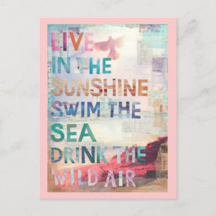 Cartão Postal Viva na luz do sol