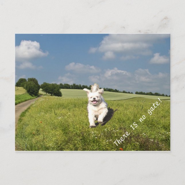 Cartão Postal "Viver Como..." Versão Budista do Cartão-postal (M (Frente)