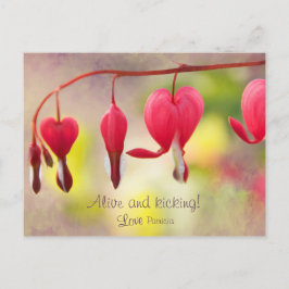 Cartão Postal Vivo e chutando! Com amor, Patrícia