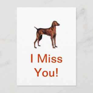 Cartão Postal Vizsla