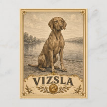 Vizsla, Cão de Herança Vintage