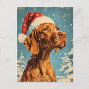 Cartão Postal Vizsla Christmas
