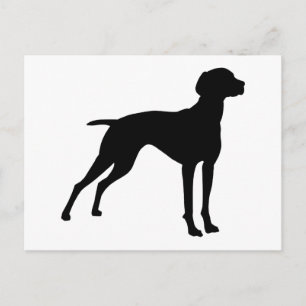 Cartão Postal Vizsla Dog Silhouette (preto)