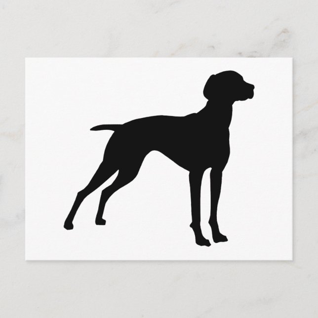 Cartão Postal Vizsla Dog Silhouette (preto) (Frente)