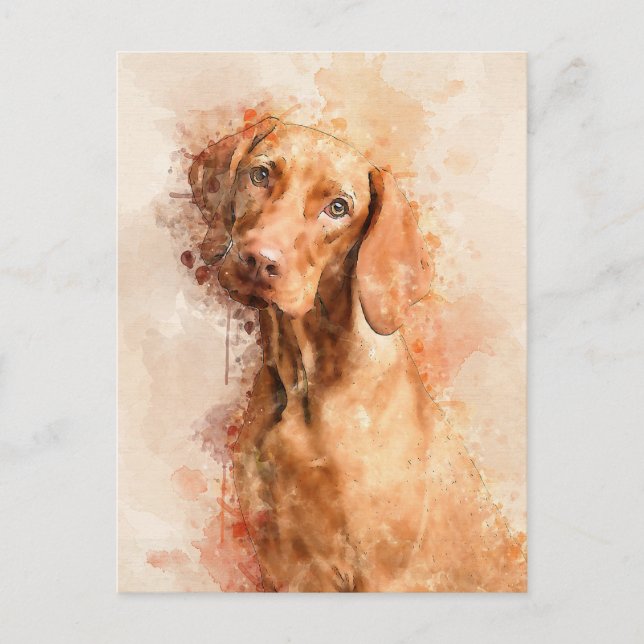 Cartão Postal Vizsla Watercolor (Frente)
