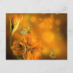 Cartão Postal vlinders oranje