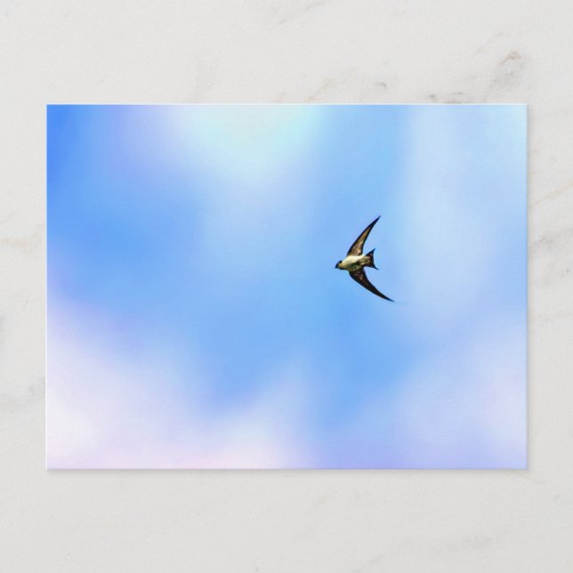 Cartão Postal Voar (Frente)