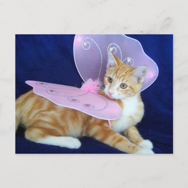 Cartão Postal Voas de fadas (Frente)