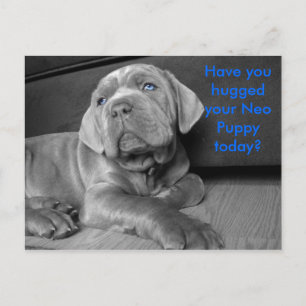 Cartão Postal Você abraçou seu Neo Puppy hoje?