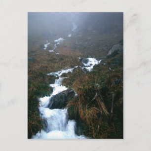 CARTÃO POSTAL VOCÊ, AMADO