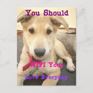 Cartão Postal Você Deveria Fazer O Seu Amor Todos Os Dias