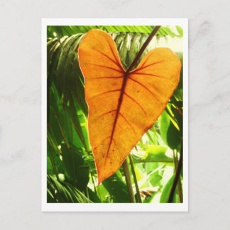 Cartão Postal "Você é amado "