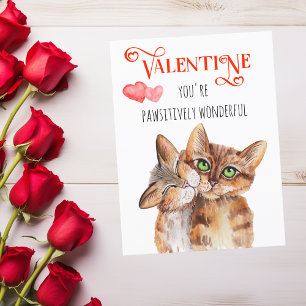 Cartão Postal Você é um Gato de São Valentim Pawsitivamente Mara