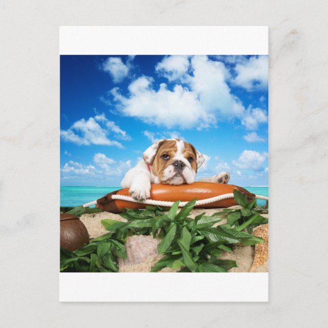 Cartão Postal Você está falando sério? (Frente)