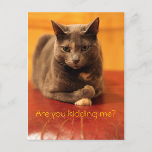 Cartão Postal Você está me gozando?