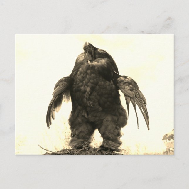 Cartão Postal Você Levanta, Mano? - (Frente)