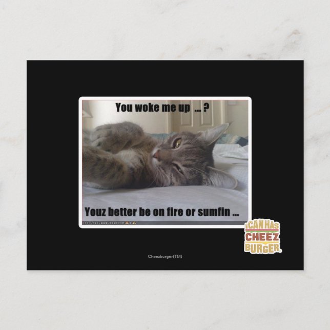 Cartão Postal Você me acordou (Frente)