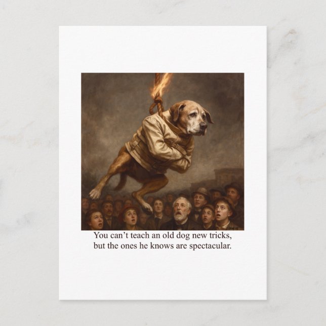 Cartão Postal Você não pode ensinar novos truques a um cão velho (Frente)