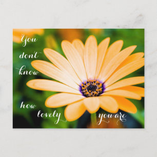 Cartão Postal Você não sabe o quanto você é adorável