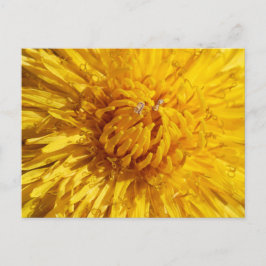 Cartão Postal Você precisa de um pouco de amarelo em sua vida