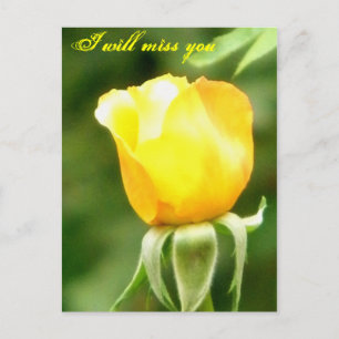 Cartão Postal Você será lembrado/Qualquer Ocasião_Carta Postal