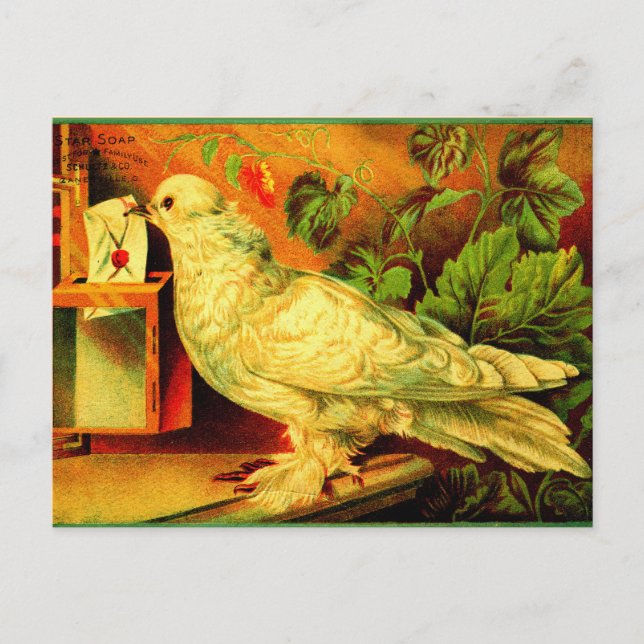 Cartão Postal Você tem correio! (Frente)