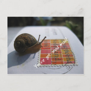 Cartão Postal você tem correio de caracol