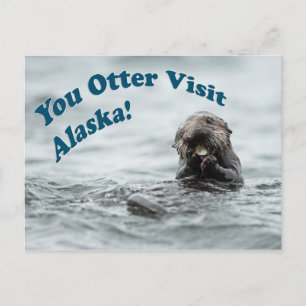 Cartão Postal Você visitou o Alaska