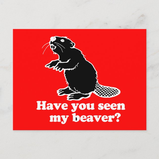 CARTÃO POSTAL VOCÊ VIU O MEU BEAVER? (Frente)